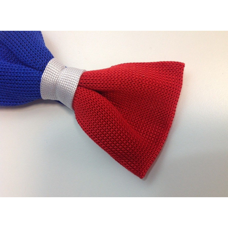 Noeud papillon Tricolore